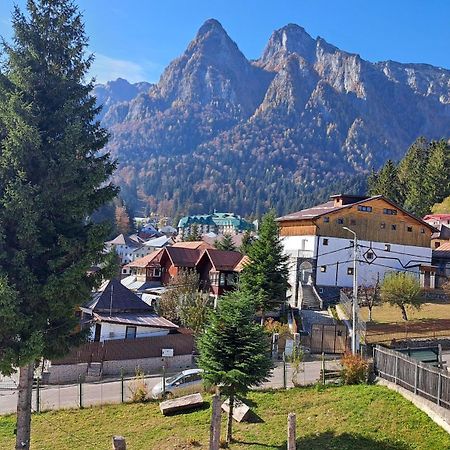 Vila Panoramic Buşteni Eksteriør bilde
