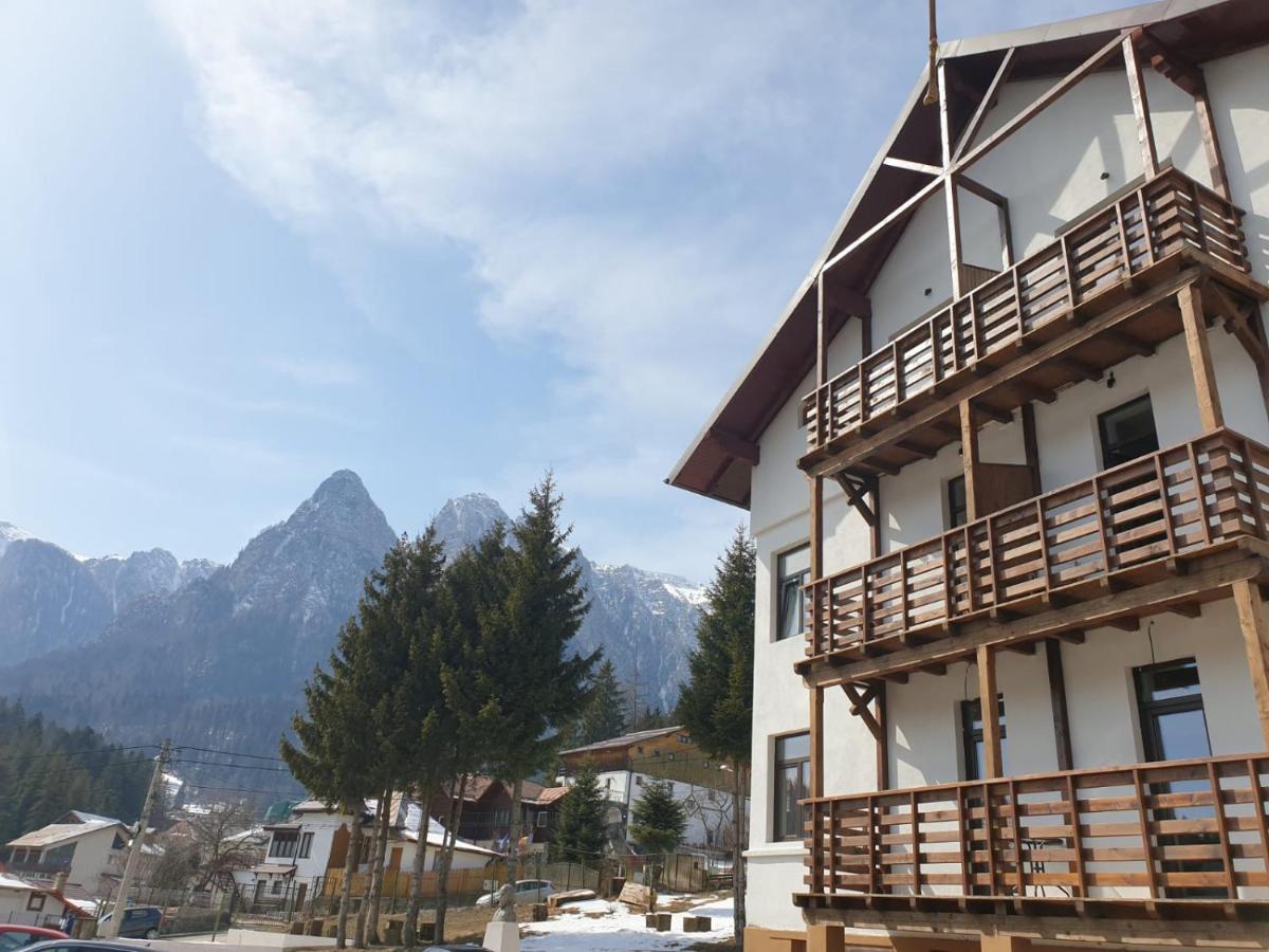 Vila Panoramic Buşteni Eksteriør bilde