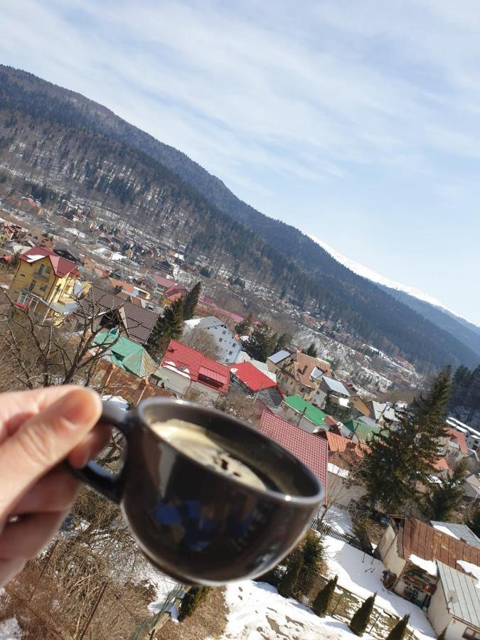Vila Panoramic Buşteni Eksteriør bilde
