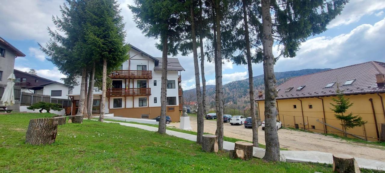 Vila Panoramic Buşteni Eksteriør bilde