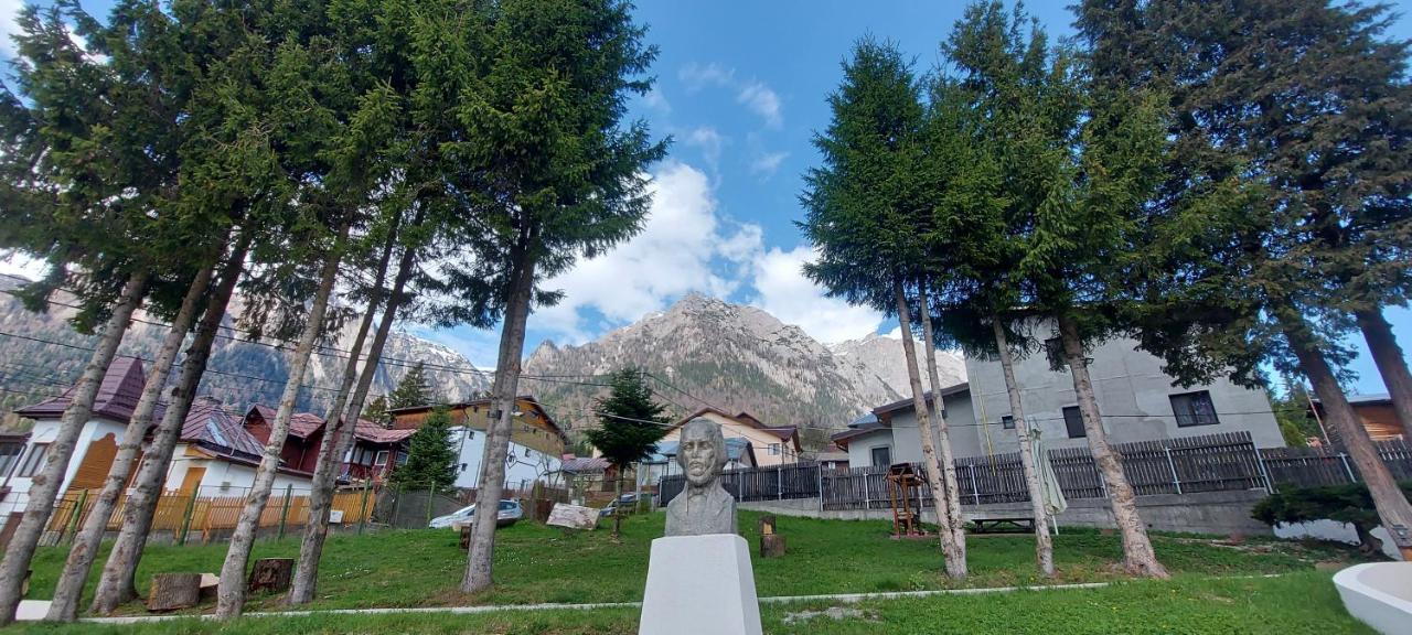 Vila Panoramic Buşteni Eksteriør bilde
