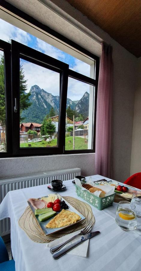 Vila Panoramic Buşteni Eksteriør bilde