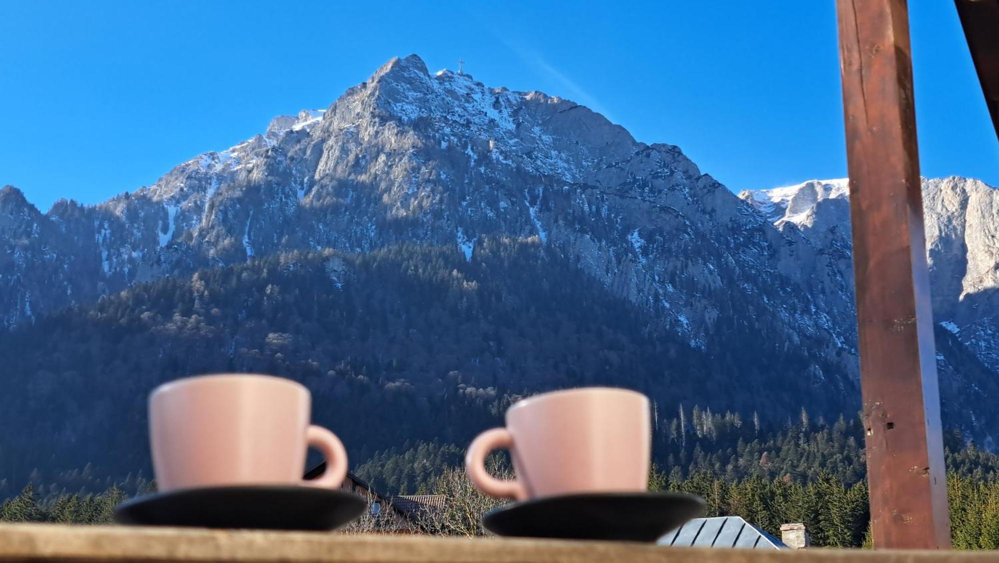 Vila Panoramic Buşteni Eksteriør bilde