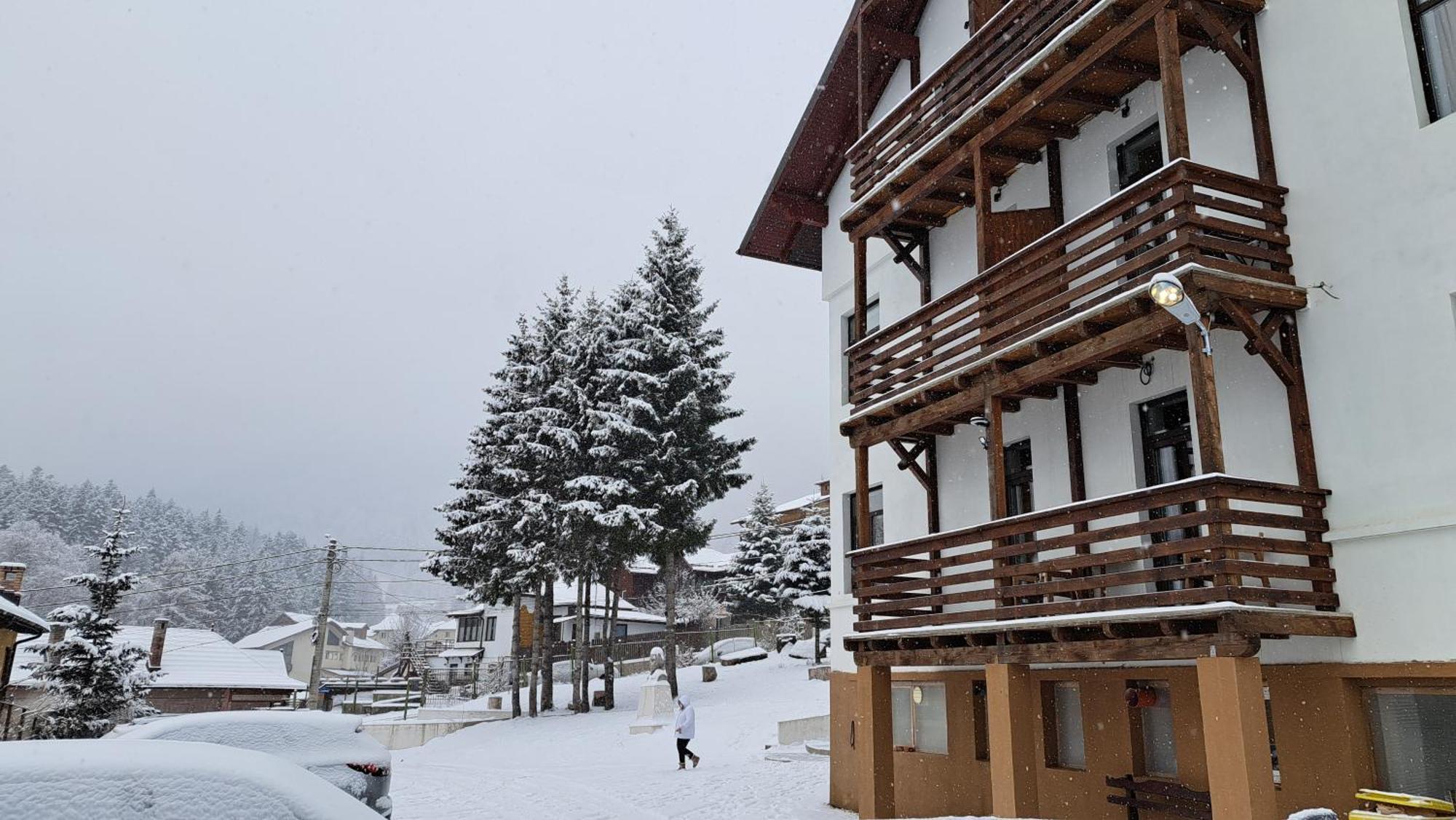 Vila Panoramic Buşteni Eksteriør bilde